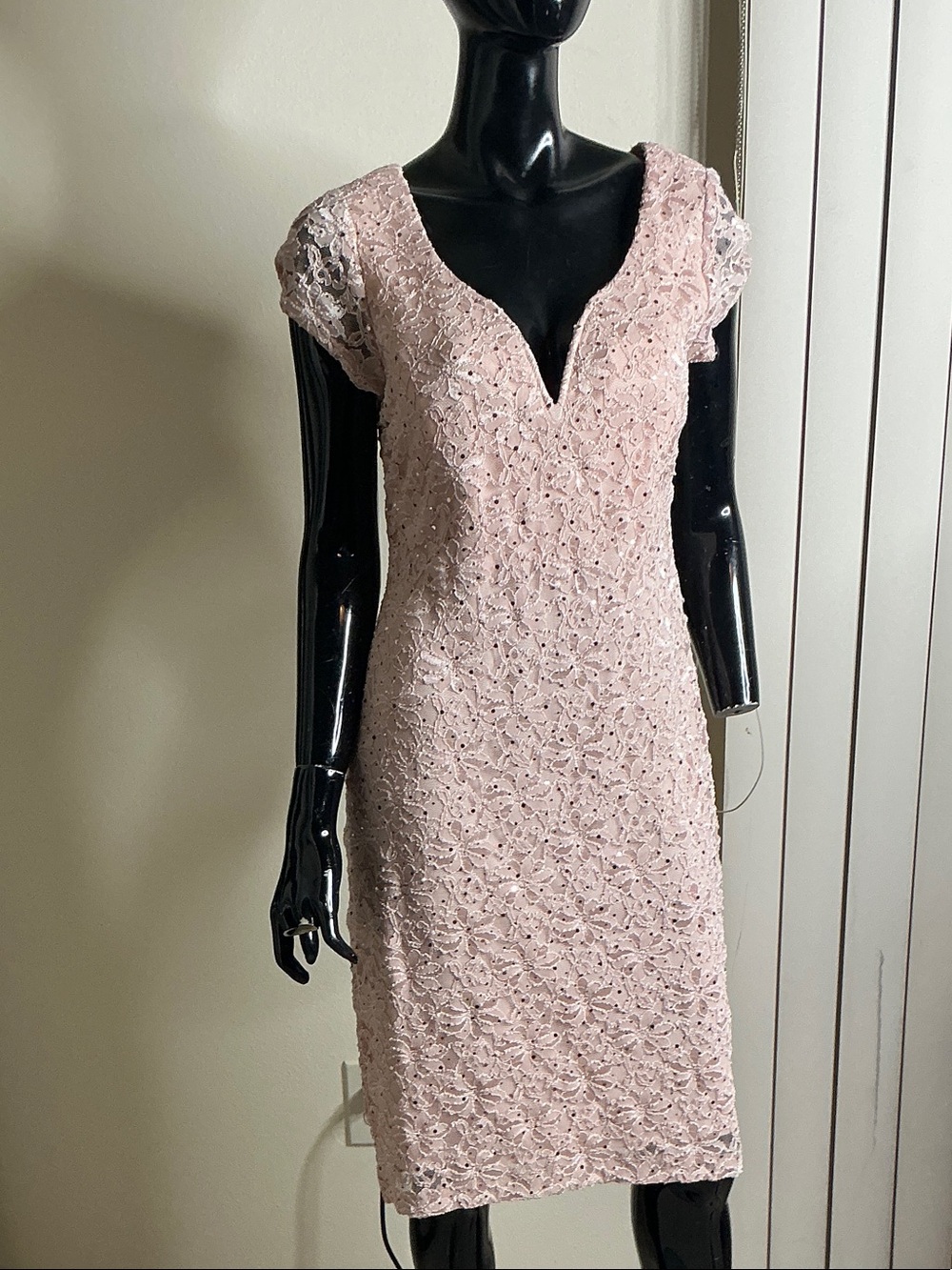 connected apparel Blush Pink Lace V-Notch Sheath Dress
